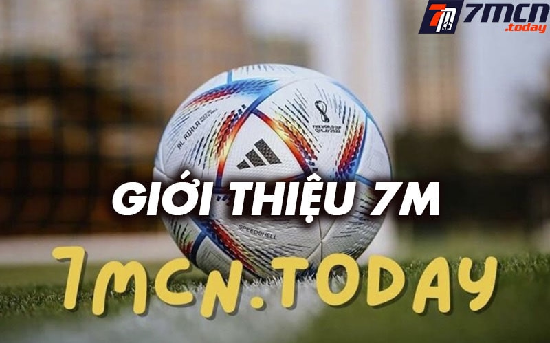 Giới thiệu parrocchiasantamariaassunta.net